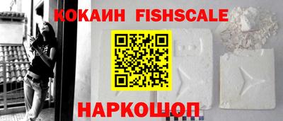шишки Изобильный