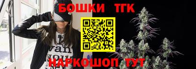 шишки Изобильный