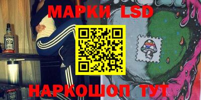 шишки Изобильный