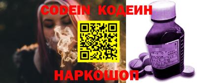 стафф Кингисепп