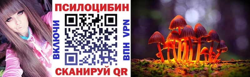 Псилоцибиновые грибы GOLDEN TEACHER  блэк спрут tor  Сургут 