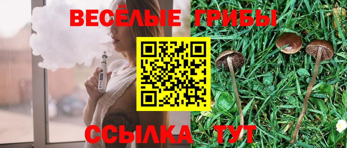 где можно купить   Псилоцибиновые грибы MAGIC MUSHROOMS  Сургут  Псилоцибиновые грибы MAGIC MUSHROOMS 