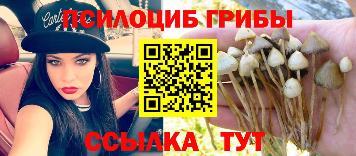 Сургут  Галлюциногенные грибы мицелий  Вход с VPN 